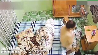 少妇自慰两条狗轮流舔逼