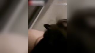 女技师奶推揭秘足浴店那些事儿为什么你找不到荤店
