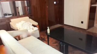 绝美高颜值秘书办公室勾引老板，操的嫩穴流出白浆