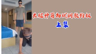 上集长腿帅哥初试调教狗奴