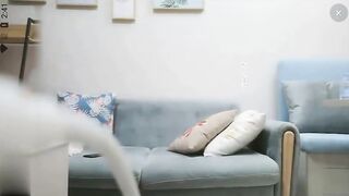 千人斩星选网约学生妹姿势最多随意玩弄小嫩穴