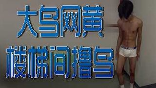 大鸟网黄楼梯间撸鸟
